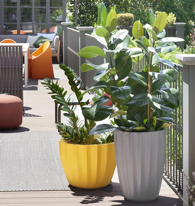 1 Vaso conico STAR - immagine 1