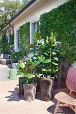 Vaso conico S-POT - Coronese1949