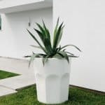 Vaso CUBALIBRE