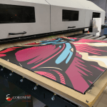 Madia Race - Pictoom - Van Orton - Coronese1949