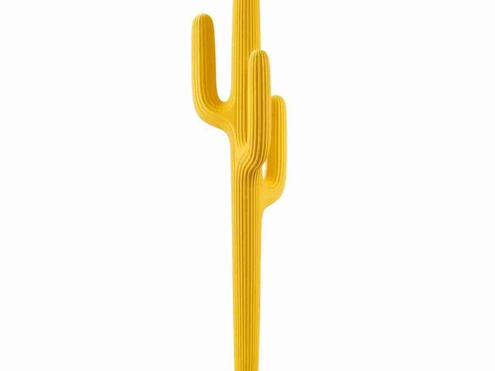 Appendiabiti Saguaro