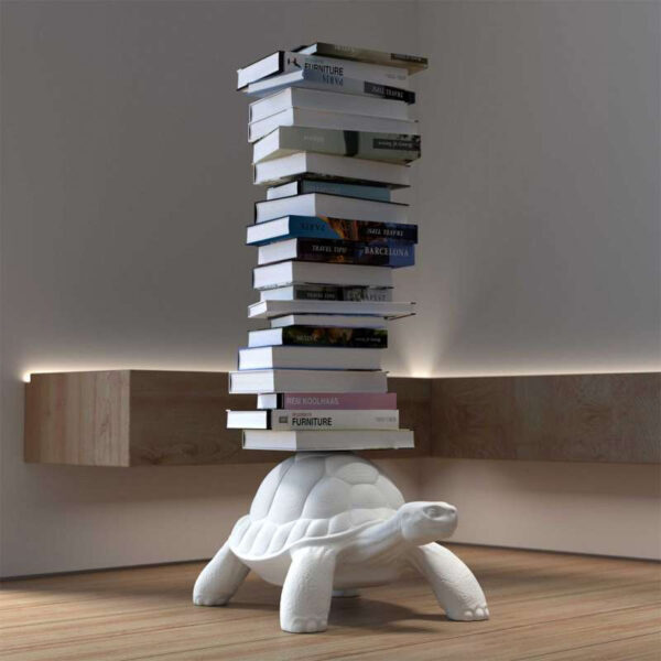 Libreria Turtle carry