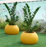 Blos pot - immagine 2