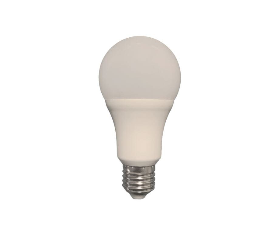 Lampadina 10W - A65 BULB E27