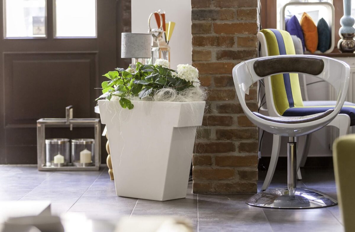 Il Vaso - immagine 2