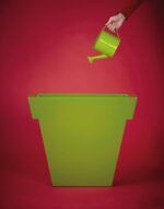 Il Vaso - immagine 4