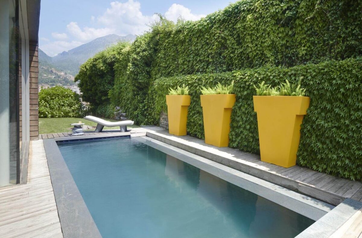 Il Vaso - immagine 6