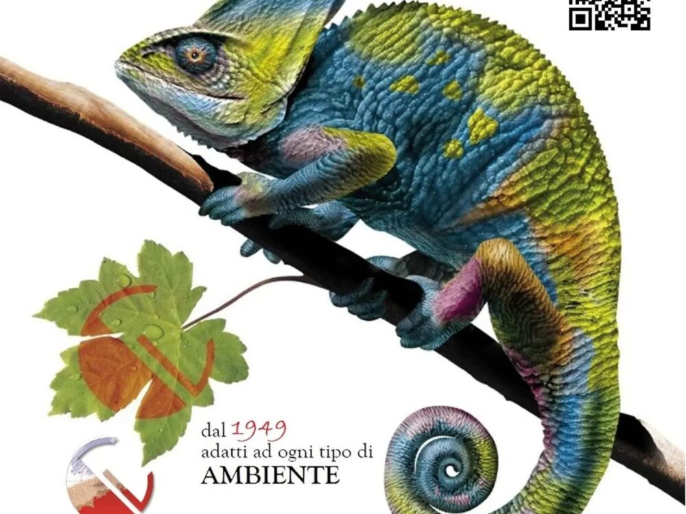 Arreda la tua casa
